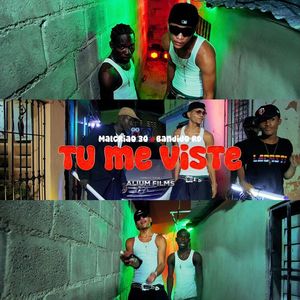 Tu Me Viste