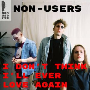 i don't think i'll ever love again