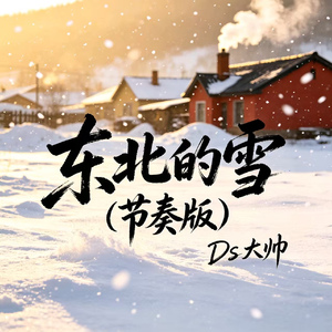 东北的雪（节奏版）