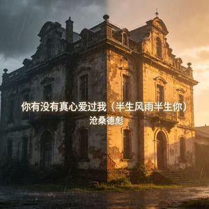 你有没有真心爱过我（半生风雨半生你）