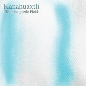 Electromagnetic Fields III