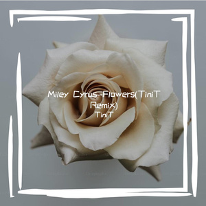 Miley Cyrus-Flowers(TiniT Remix)