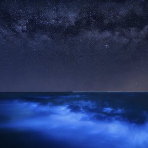 《借月光奔向你》