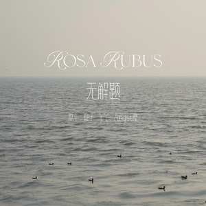 Rosa Rubus （无解题)