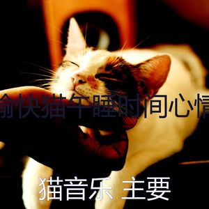 微妙的小猫心情