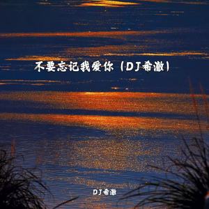 不要忘记我爱你（DJ希澈）