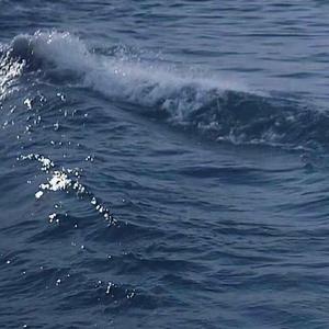 與你在深海裏﹏﹏﹏﹏