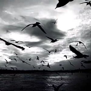 【Free】Drill x Vocal Sample “Dark” Type Beat