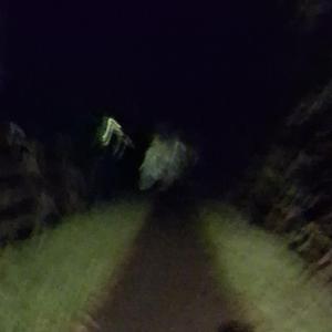 around