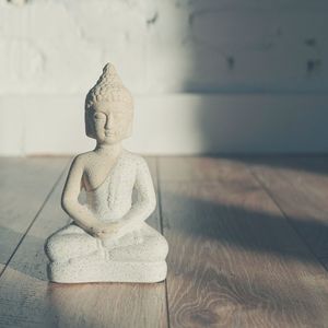 抚慰的回春回忆