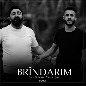 Brîndarim (Remix)
