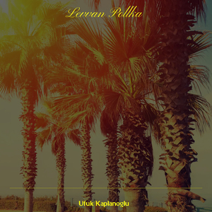 Levvan Pollka (Remix)