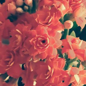 过生日要快乐哦