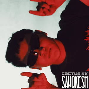 Sawqkesh