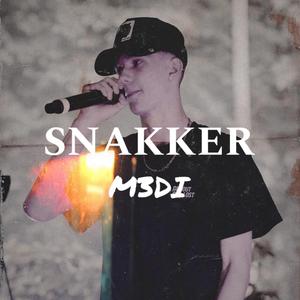 Snakker