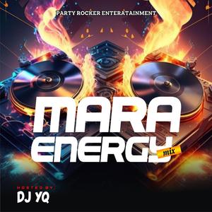 Mara Energy Mix (ii)