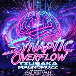 Synaptic Overflow