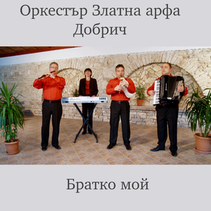 Садила ми мома