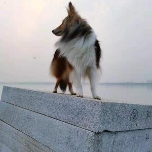 平台不让我下架3
