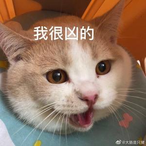 热爱105°的你（完整版）