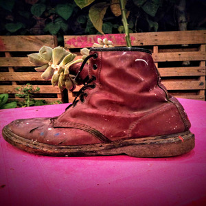 Triler varon del sol