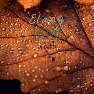 Ota Bo Asung (feat. Campari B. & Ela Nguema Ganster)