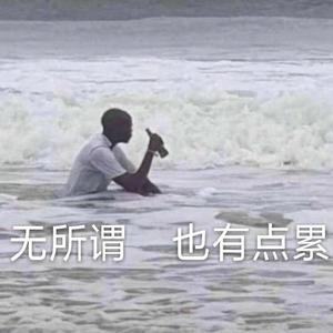 终有一天，我会抛弃你们（心做し）