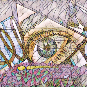 Open Your Eyes