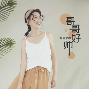 哥哥好帅 (DJheap九天版)