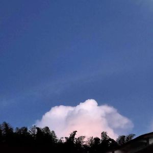 燕归巢（合唱版）（翻自 许嵩）