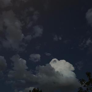 爱在夏天