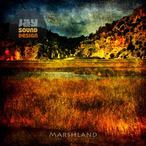 Marshland