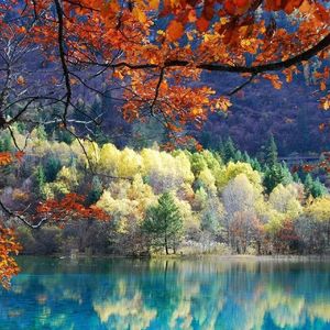 牵手游走时光间