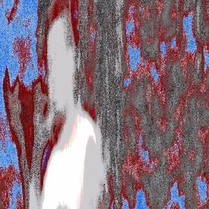 terry (Prod. white punk)
