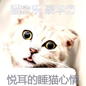 柔和的猫午睡时间时刻