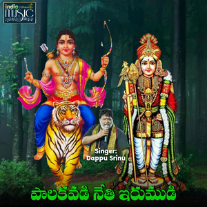 Palakavadi Neti Irumudi