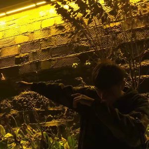 再也没有（翻自 Ryan.B/AY楊佬叁/应无所住）