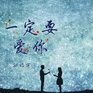 陶晶晶-孙小宇 - 一定要爱你（孙昭宇 remix）
