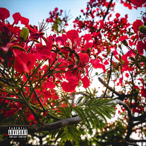 Finge (feat. Abriiel)