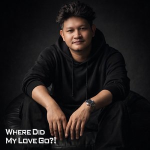 Where Did My Love Go !