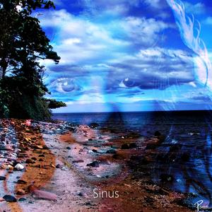 Sinus