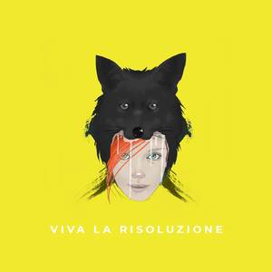Viva la risoluzione