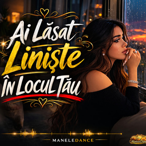 Ai Lăsat Liniște În Locul Tău