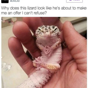 True Indeed (slowed)