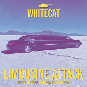 Limousine Attack