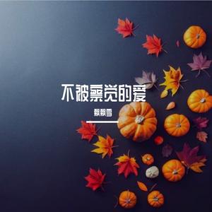 人间半途（DJ版）