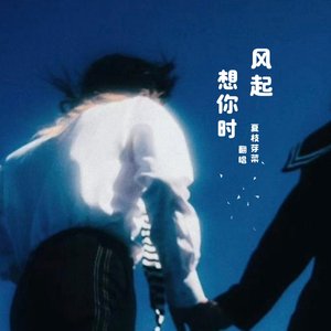 想你时风起