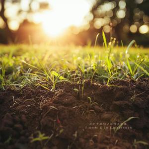 ひだまりと土の匂いの午後– Sunlit Soil Afternoon