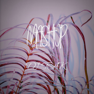 Zedd / Alessia Cara / R3hab - Stay&Sakura(DJ TAK Mashup)