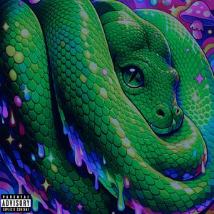 Snakes